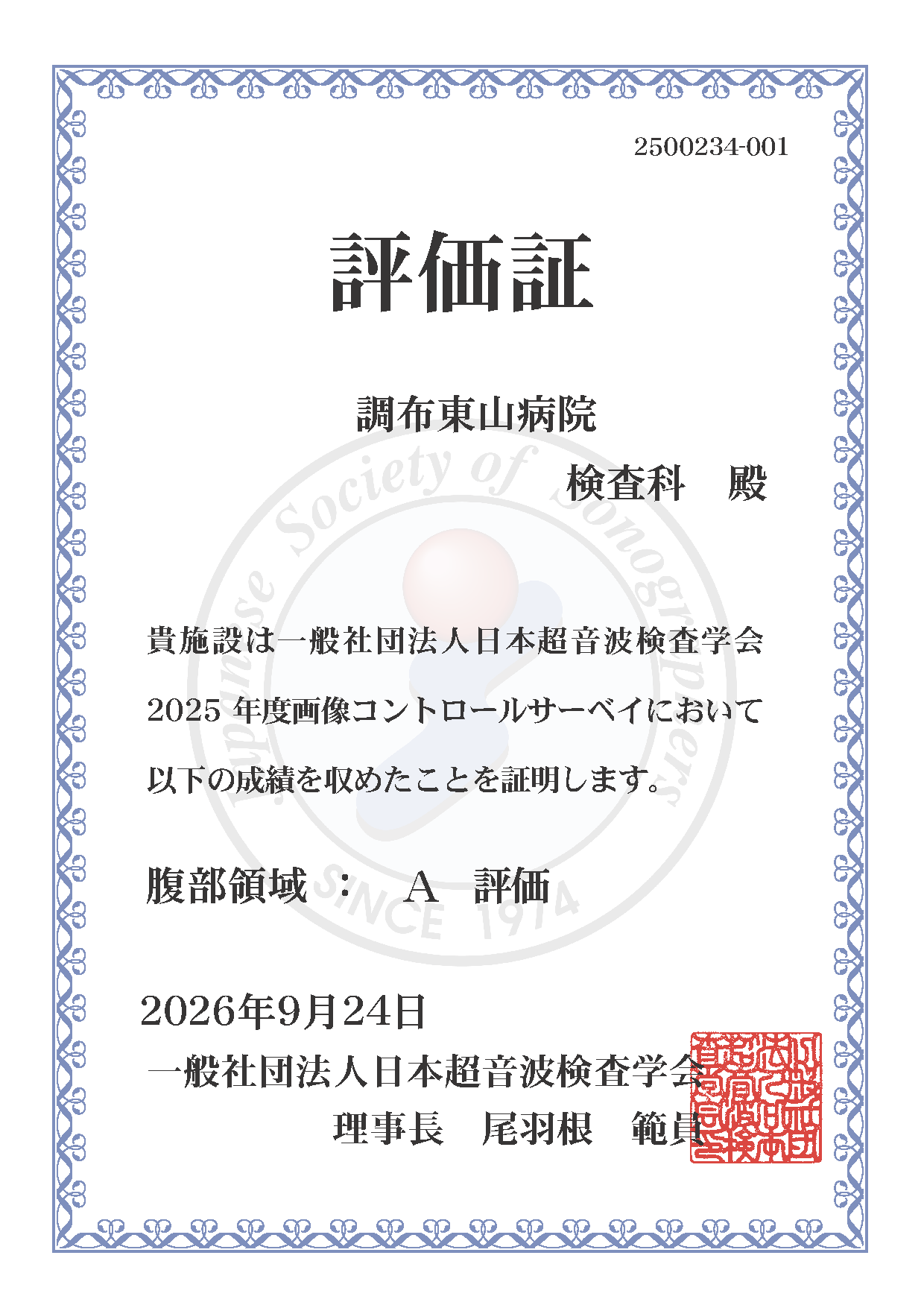 腹部領域A評価